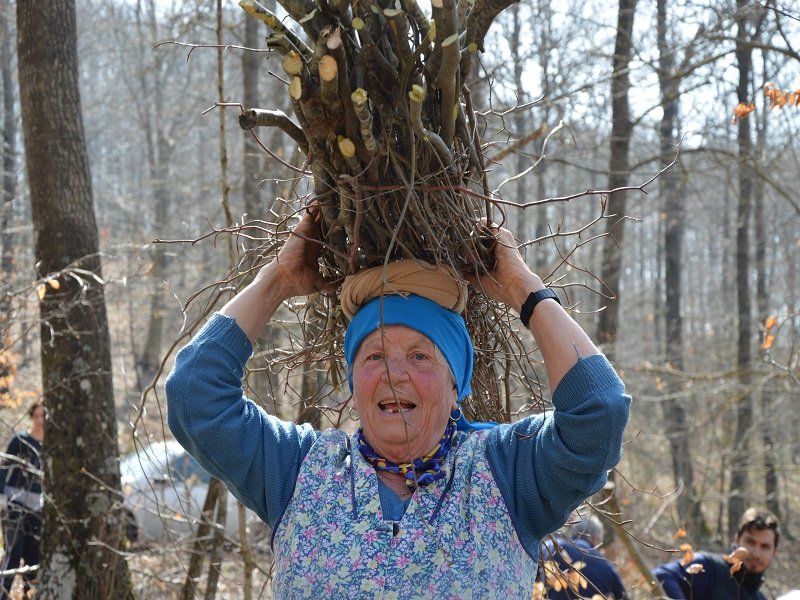 Raccolta legna 28 aprile