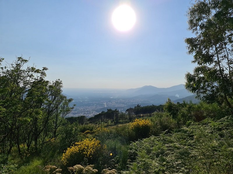 Mugnano del Cardinale