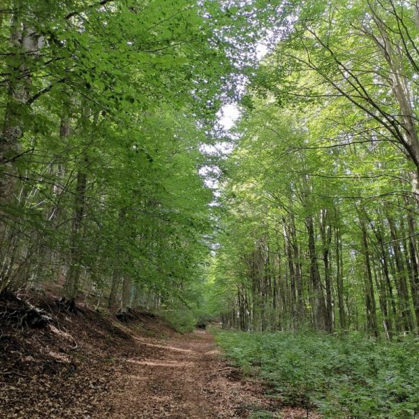 Monti Picentini photo Antonio Ferragamo